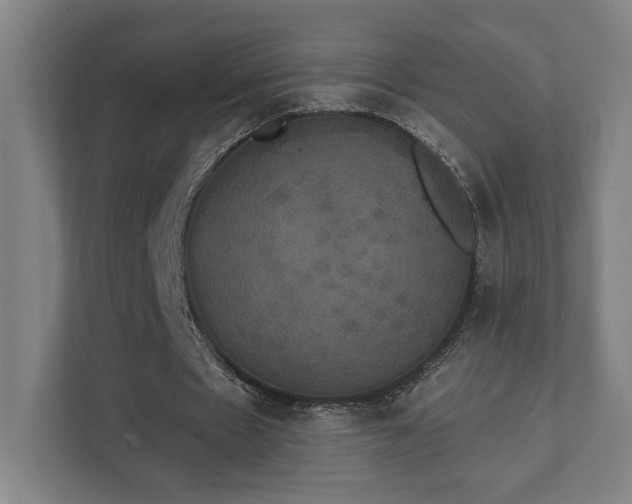 X0000111440481200907201132