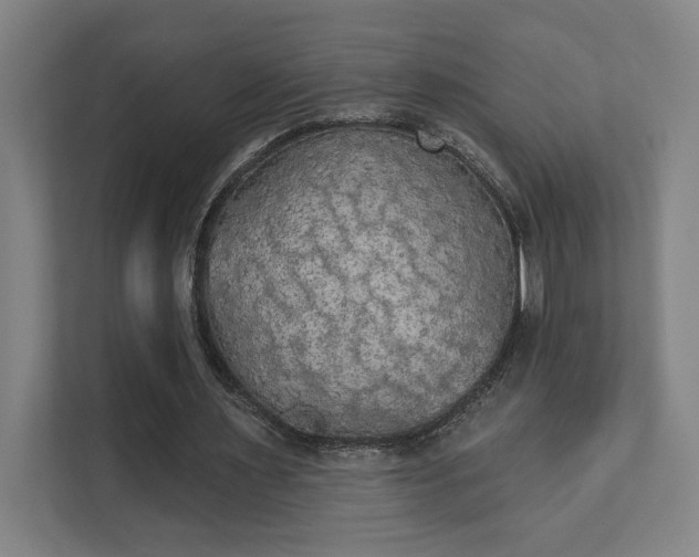 X0000111440483200907201132