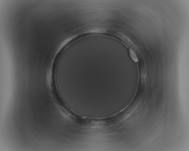 X0000111440484200907201132