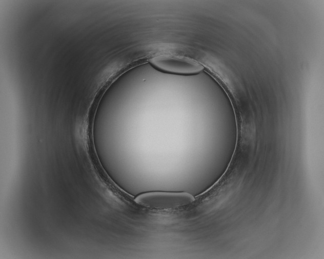 X0000111440485200907201132