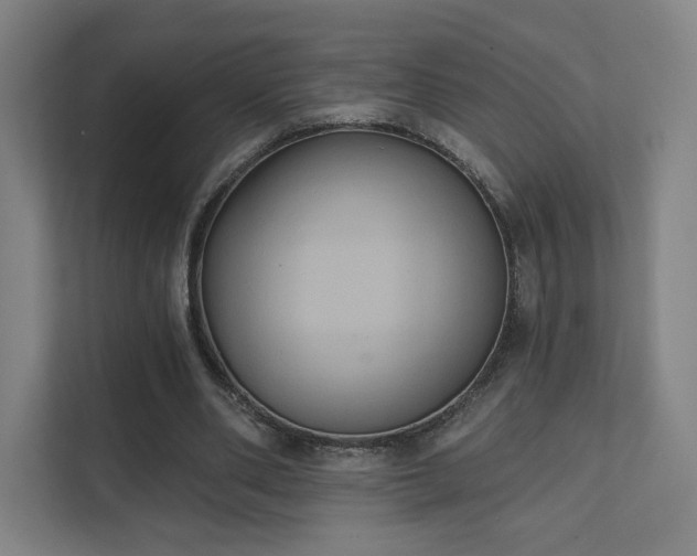 X0000111440486200907201132