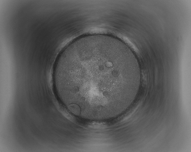 X0000111440487200907201132