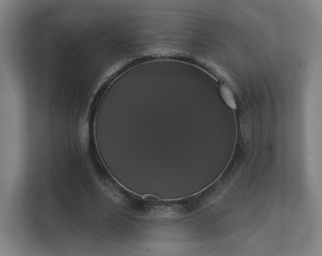 X0000111440488200907201132