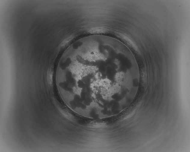 X0000111440491200907201132