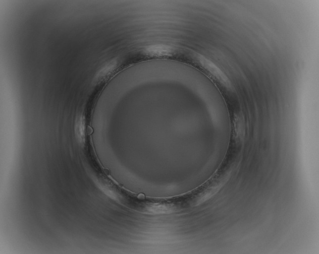 X0000111440494200907201131