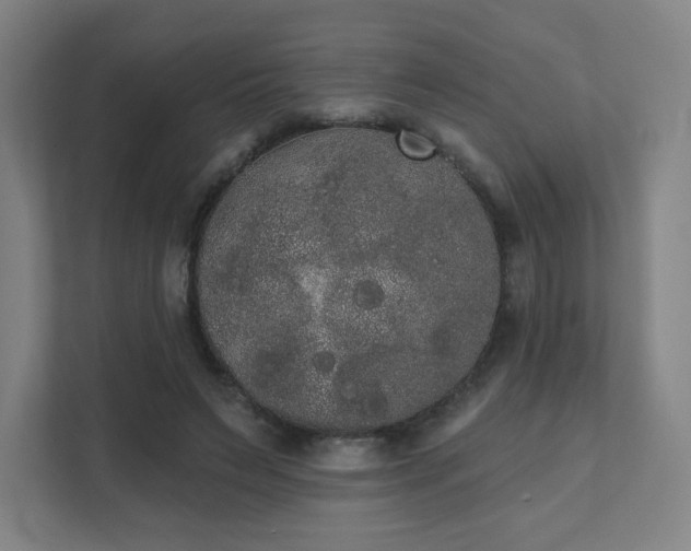 X0000111440495200907201131