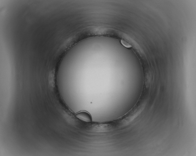 X0000111440497200907201131