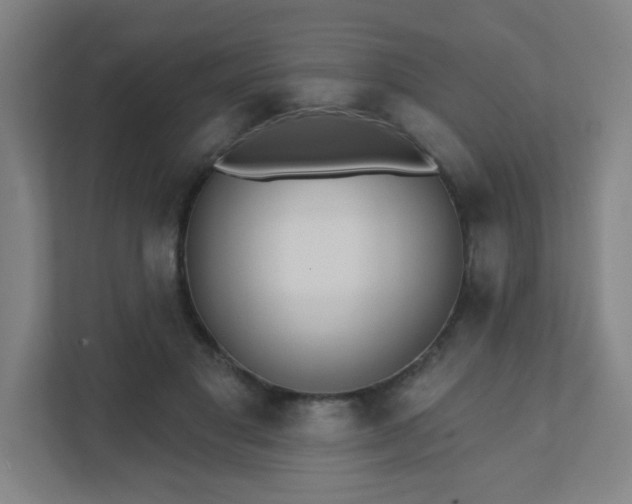 X0000111440501200907201131