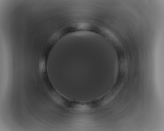 X0000111440502200907201131