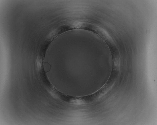 X0000111440503200907201131