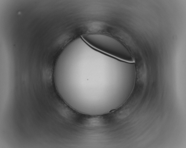 X0000111440505200907201131