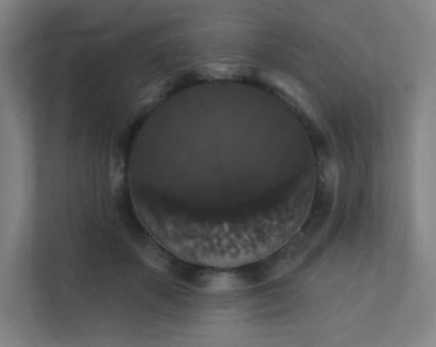 X0000111440507200907201131