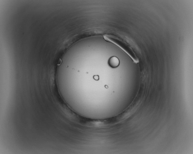 X0000111440509200907201131