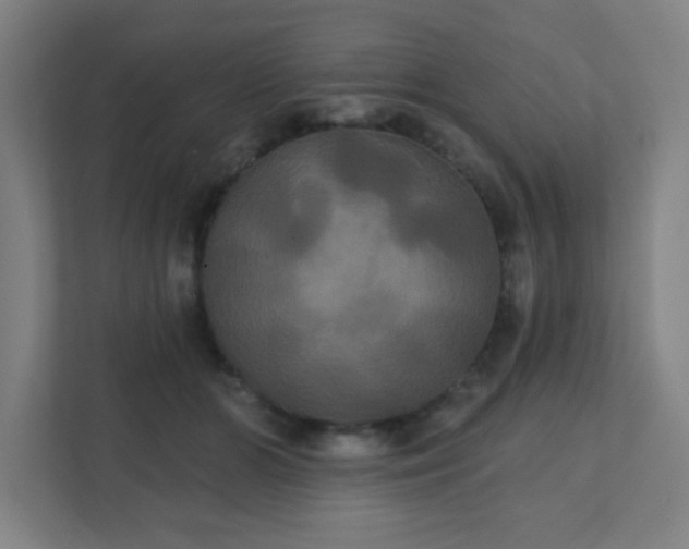 X0000111440510200907201131