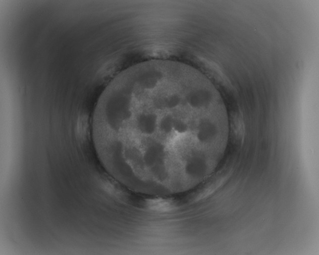 X0000111440511200907201131