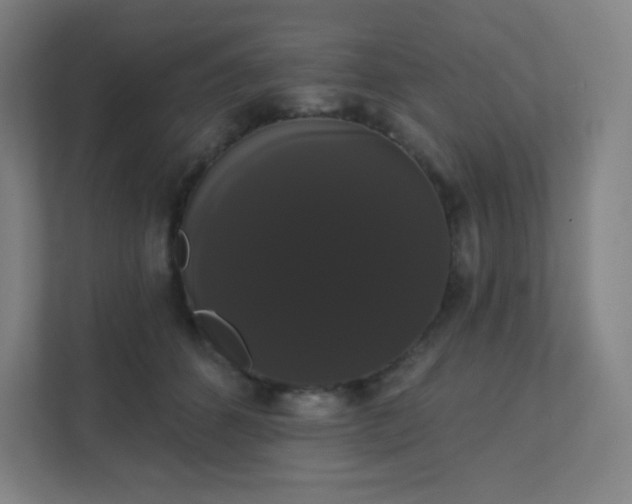 X0000111440512200907201131