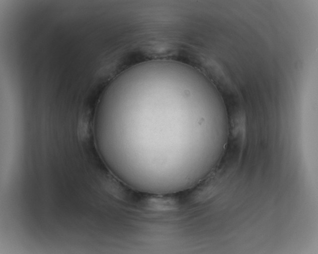 X0000111440515200907201131