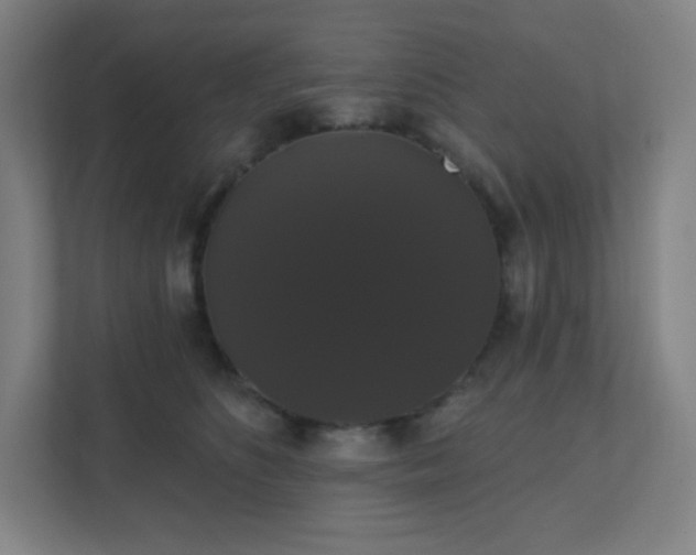 X0000111440516200907201131