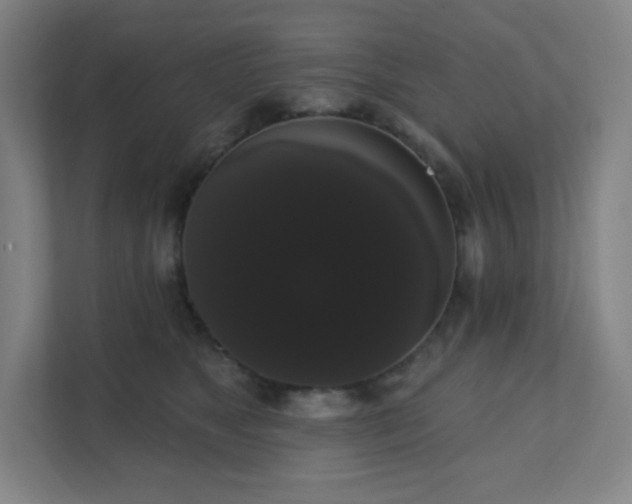 X0000111440517200907201131