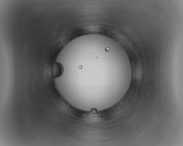 X0000111440518200907201131