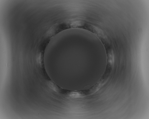 X0000111440519200907201131