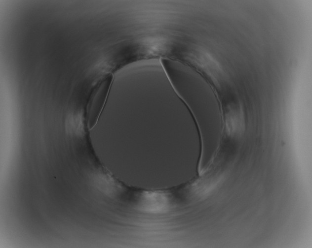 X0000111440520200907201131