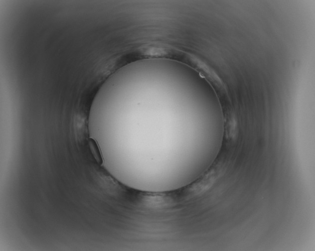 X0000111440521200907201131