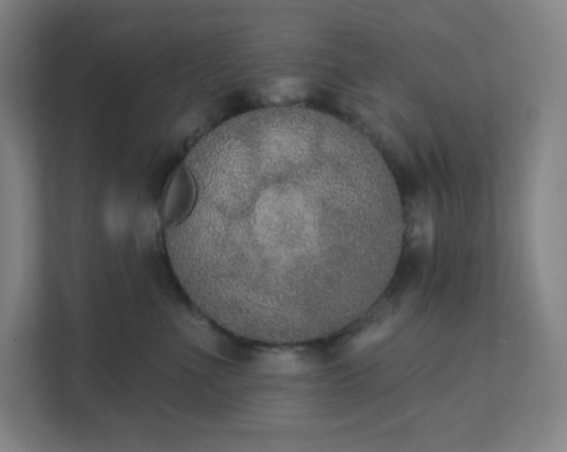 X0000111440523200907201131