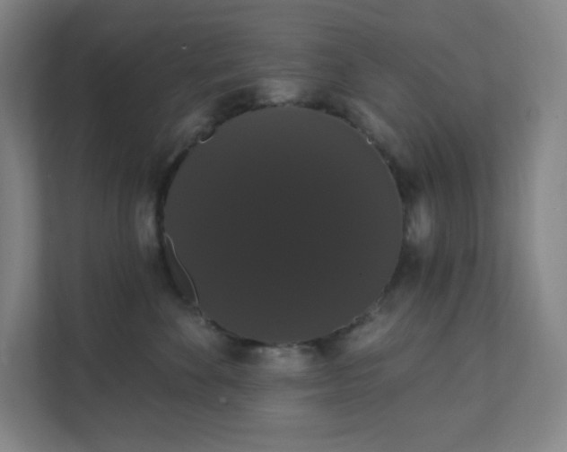 X0000111440524200907201131