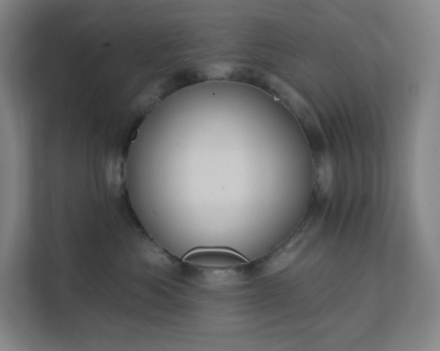 X0000111440525200907201131