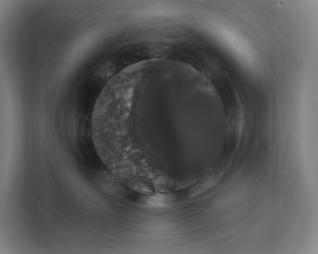 X0000111440527200907201131