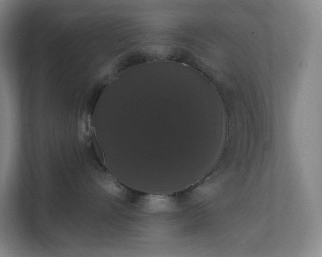 X0000111440528200907201131