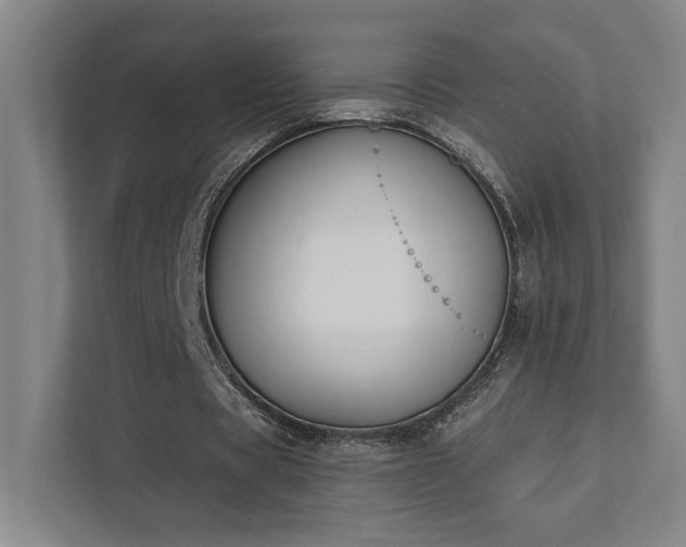 X0000111440529200907201130