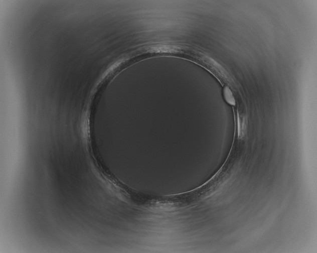 X0000111440531200907201130