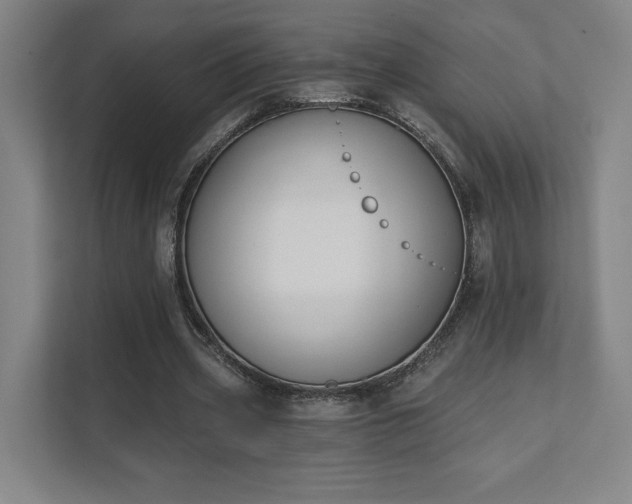 X0000111440533200907201130