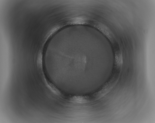 X0000111440534200907201130