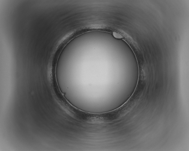 X0000111440535200907201130