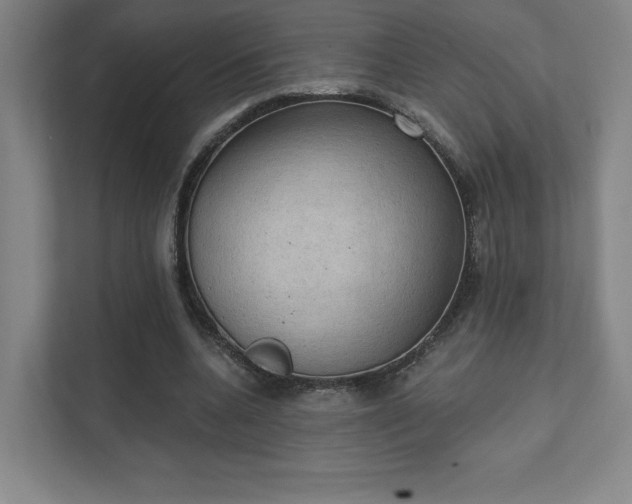 X0000111440536200907201131