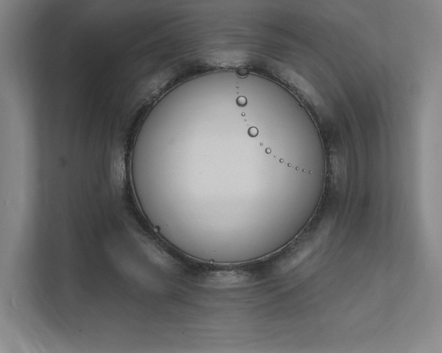 X0000111440541200907201131