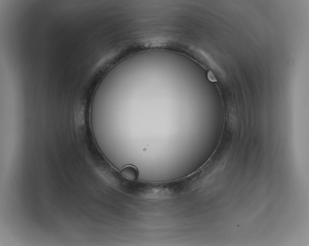 X0000111440543200907201131