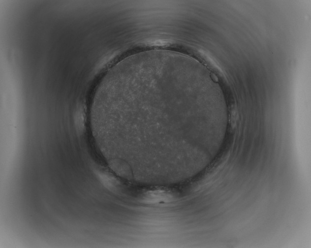 X0000111440544200907201131