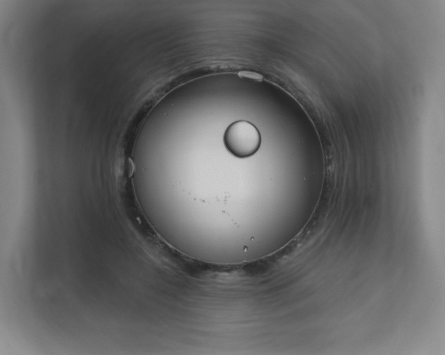 X0000111440548200907201131