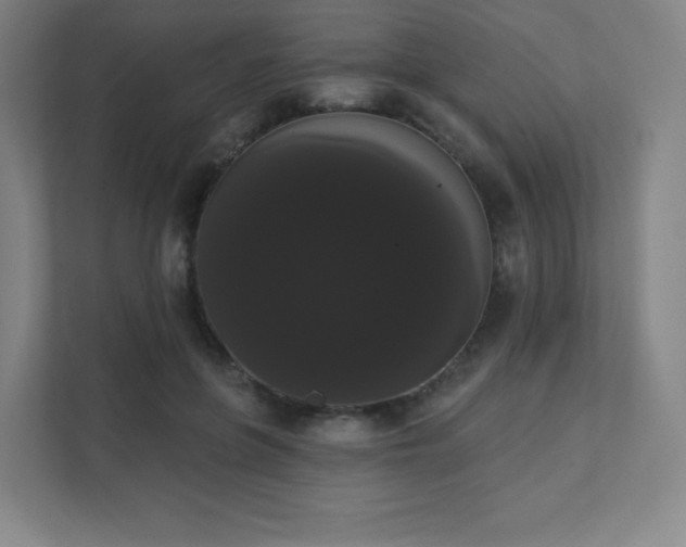 X0000111440551200907201131