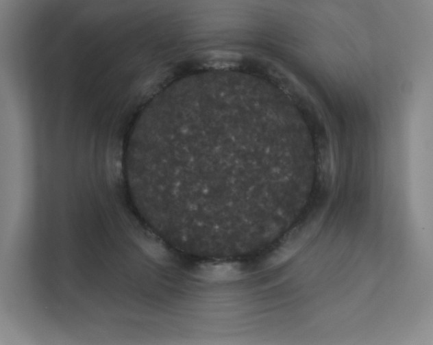 X0000111440553200907201131