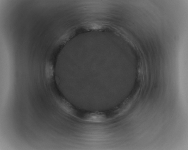 X0000111440555200907201131