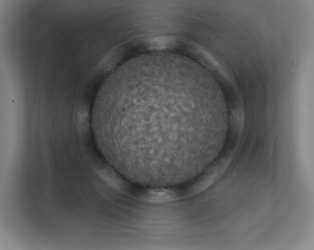 X0000111440557200907201131