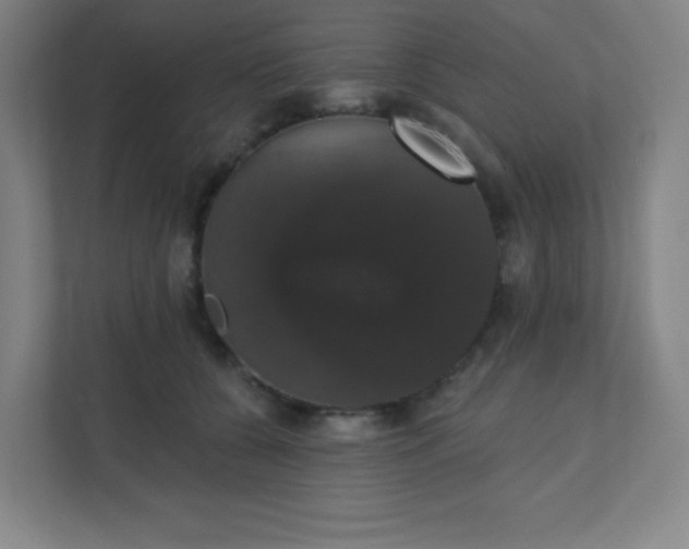 X0000111440560200907201131