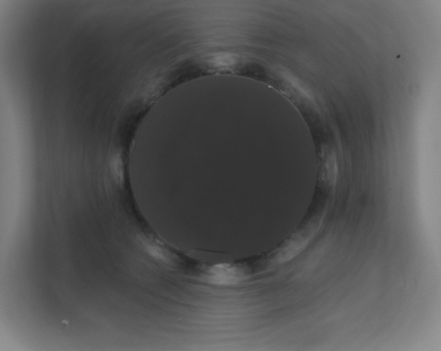 X0000111440562200907201131