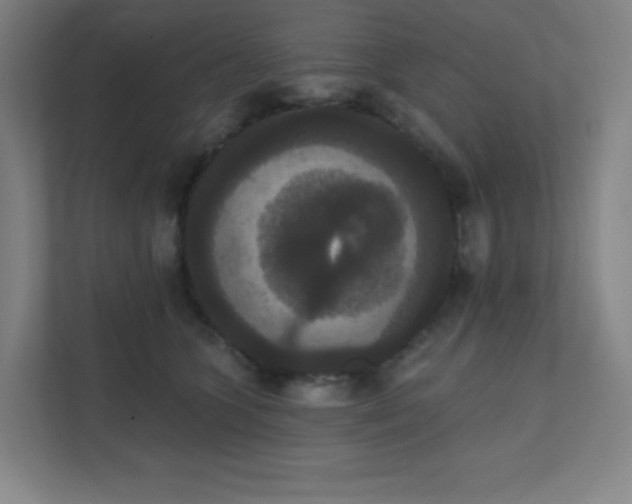 X0000111440563200907201131