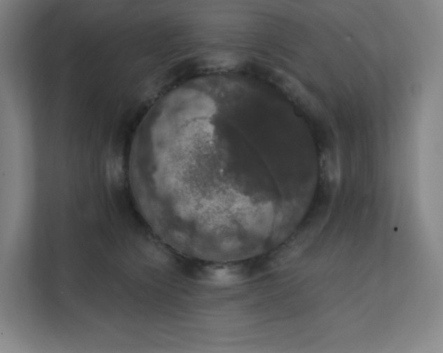 X0000111440564200907201131